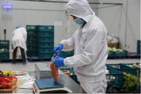 【0211】蘇寧物流加工中心一天送出的菜 相當于30余個農貿市場242.png