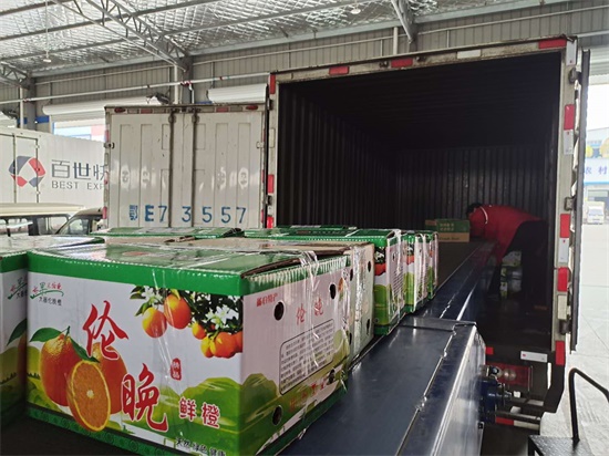 圖2：百世快遞秭歸站點(diǎn)使用伸縮機(jī)裝車臍橙.jpg