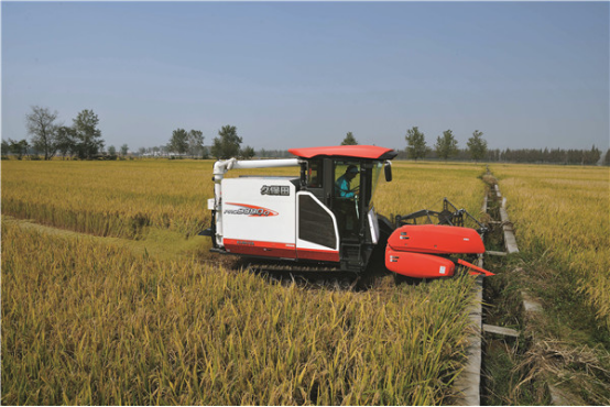 麥客老羅生意這么好？ 七臺(tái)駿鈴為何還年年換車！411.png