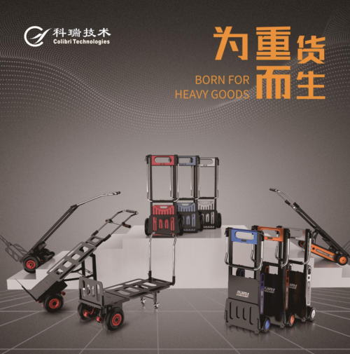 樂易登SSR擺桿系列爬樓機